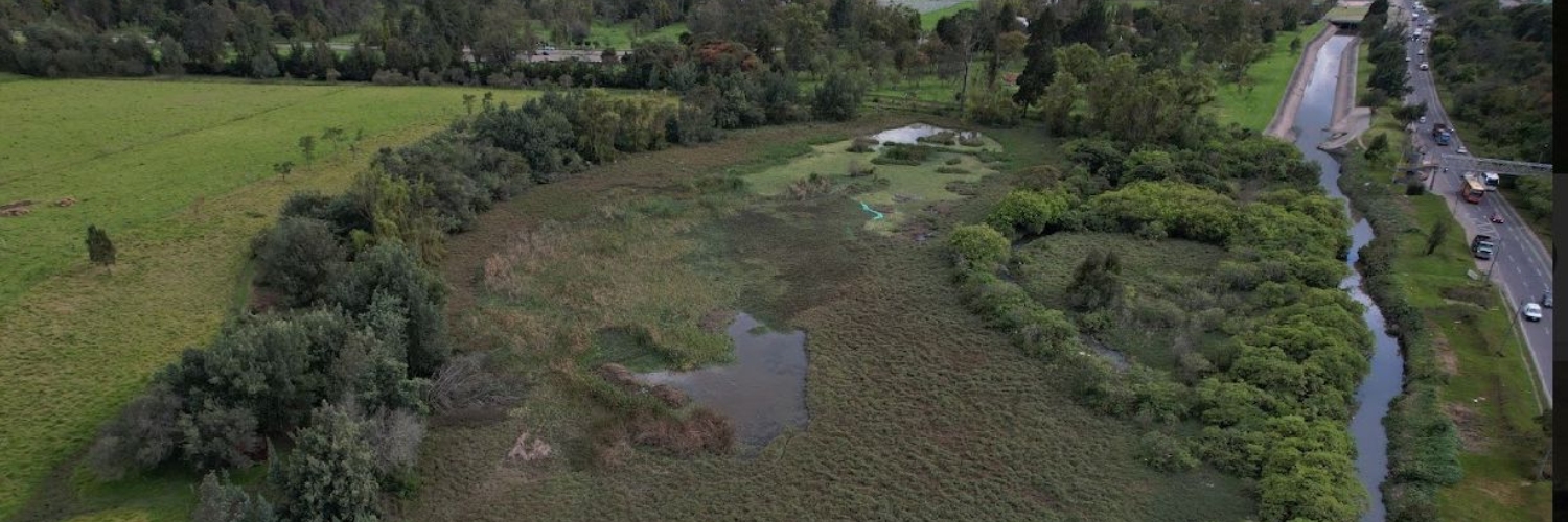 ANLA confirma archivo de tramite de licenciamiento ambiental de