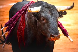 Aprueban proyecto de ley para prohibir las corridas de toros2
