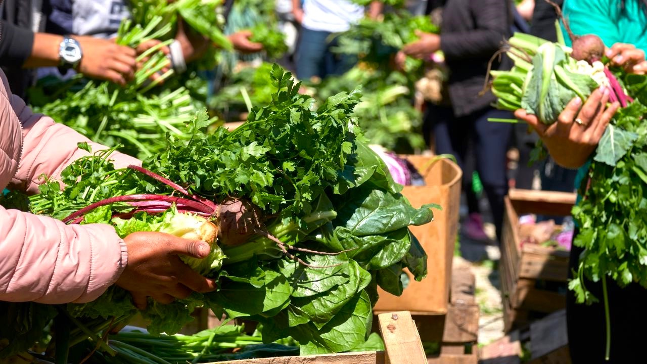 FAO pide unir esfuerzos para lograr el acceso a dietas saludables en America Latina y el Caribe1