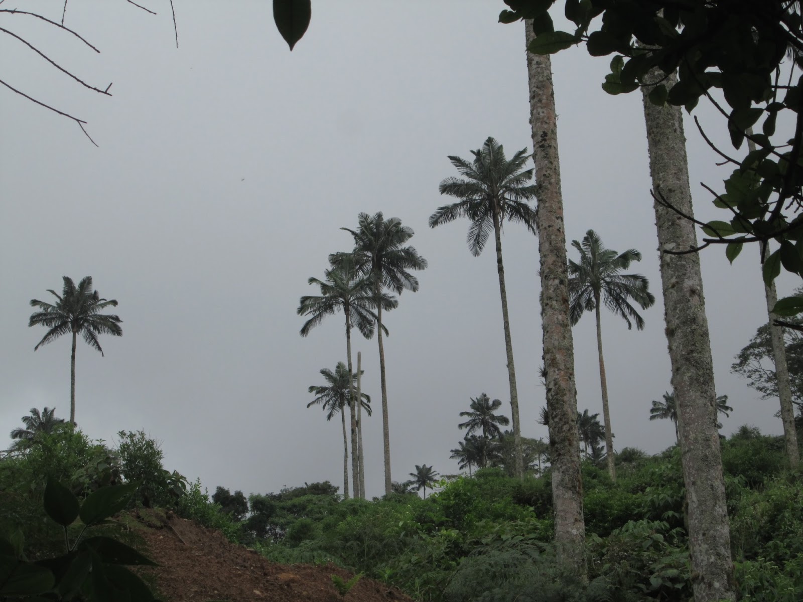 IMG 0812