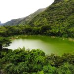 Jornada de reforestacion en Apulo fortalece la prevencion de riesgos ambientales