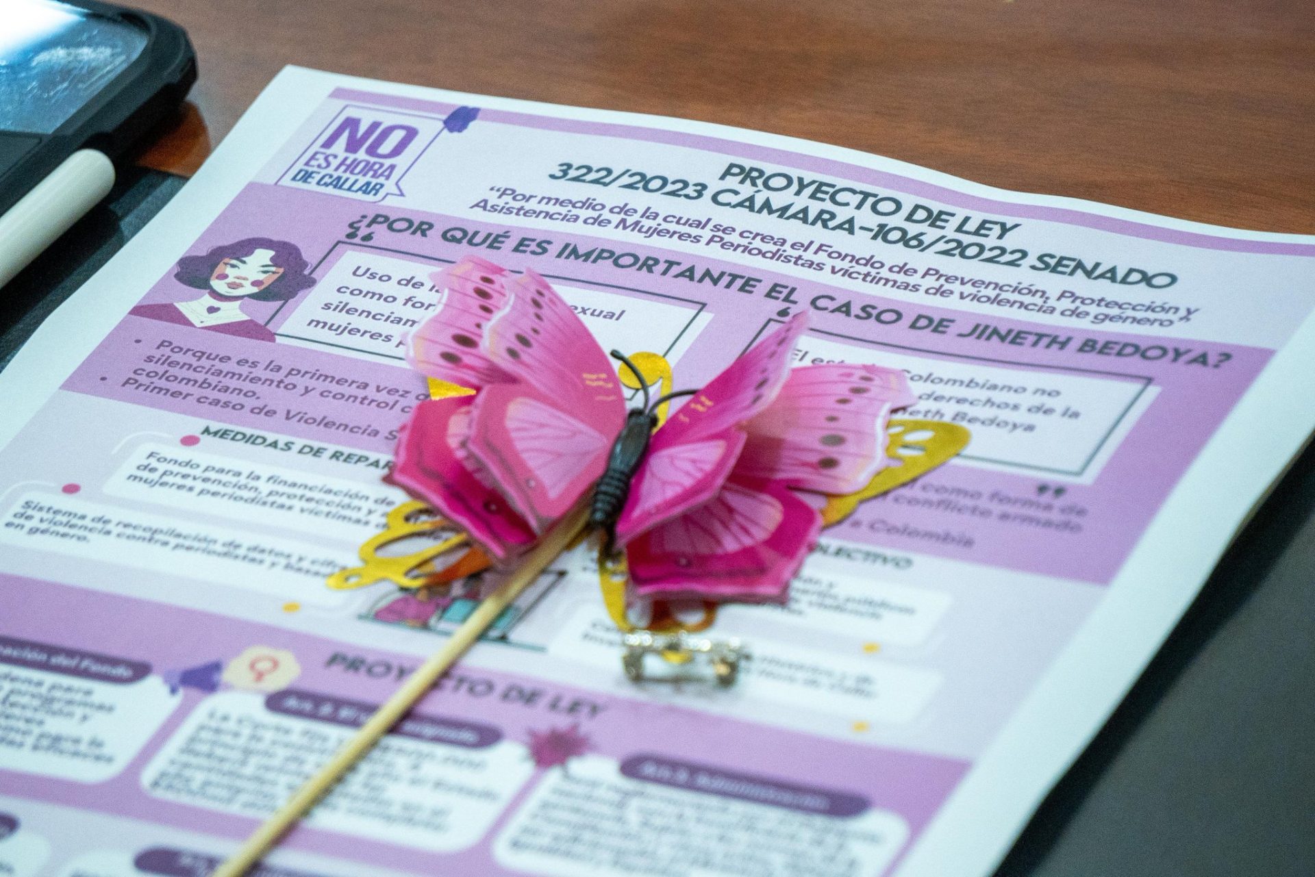 Paso a firma presidencial el Proyecto de proteccion para mujeres periodistas