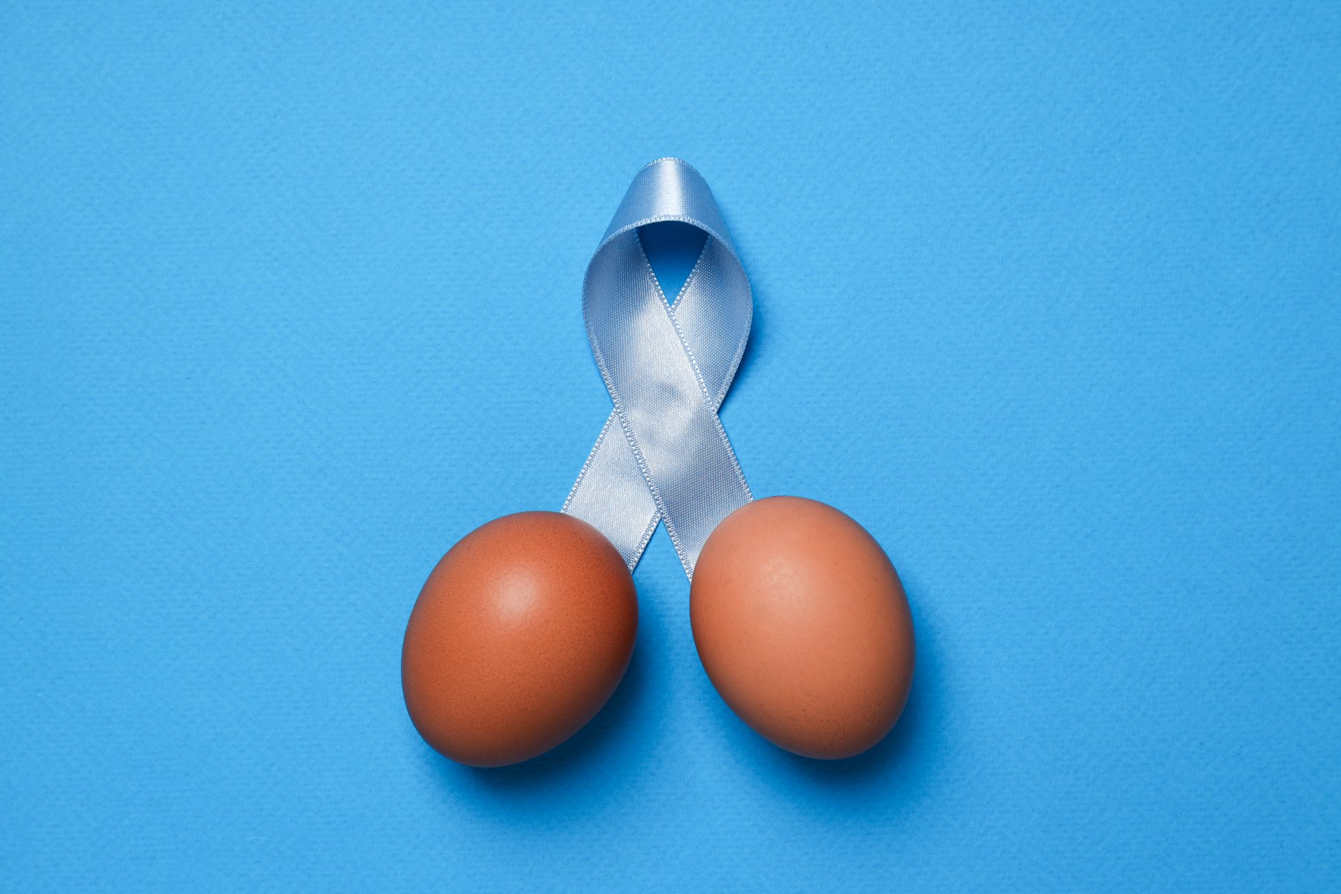 blue ribbon with chicken eggs movember concept 2023 11 27 05 07 38 utc