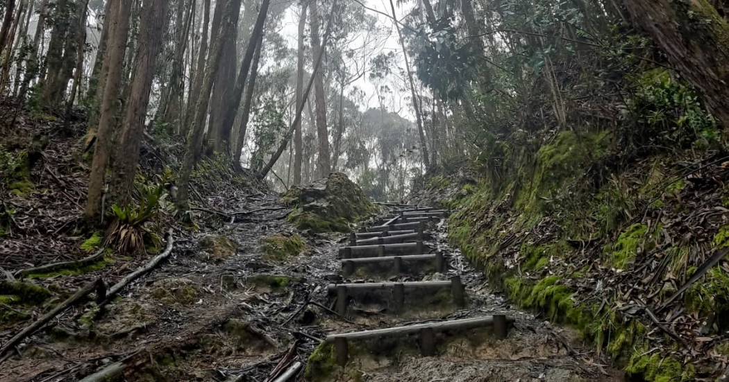 quebrada la vieja 1 1