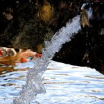 water is life water pouring out of a pipe fres 2023 11 27 05 15 05 utc