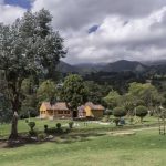 55588Zona de picnic