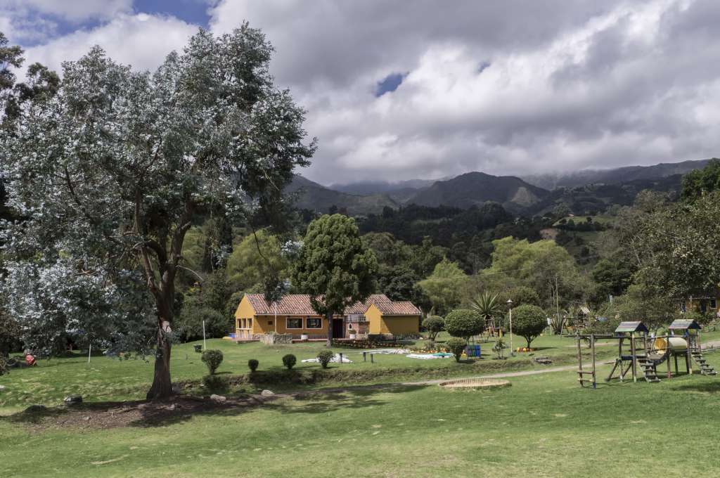 55588Zona de picnic