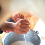 Analac responsabiliza a Alpina y Alqueria por la crisis de los productores de leche1