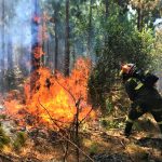Cundinamarca enfrenta crisis ambiental acciones decisivas ante