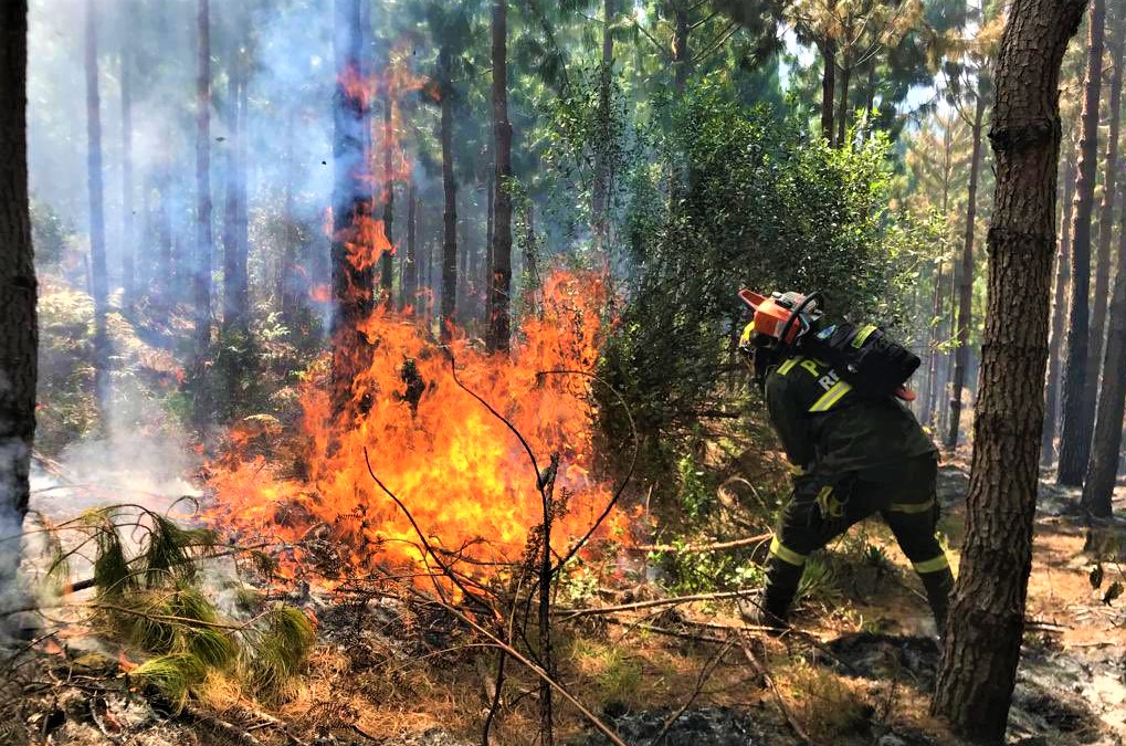 Cundinamarca enfrenta crisis ambiental acciones decisivas ante