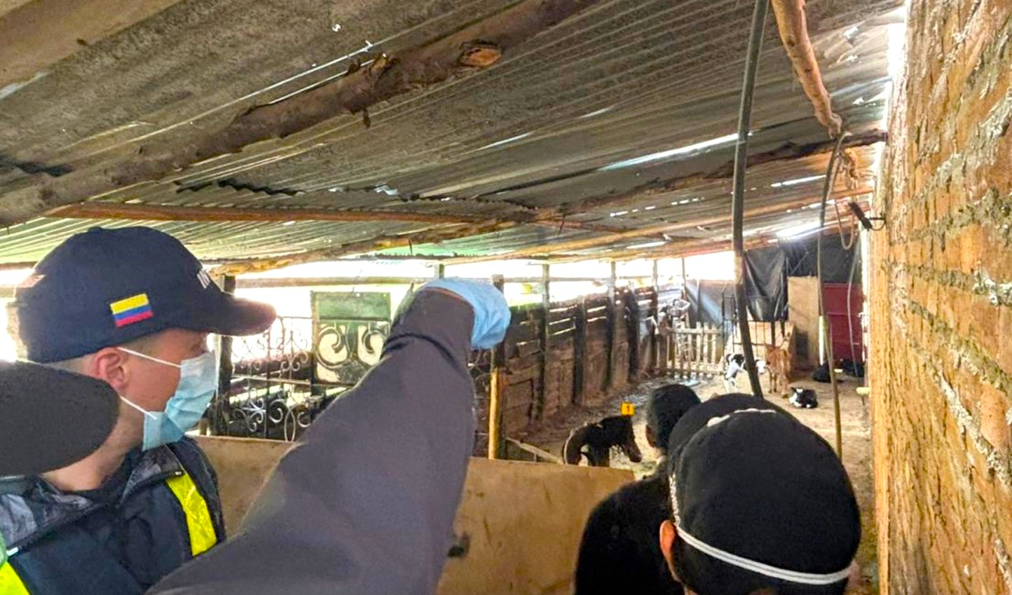 Fiscalia judicializa a presuntos responsables de matadero clandestino en Combita Boyaca2