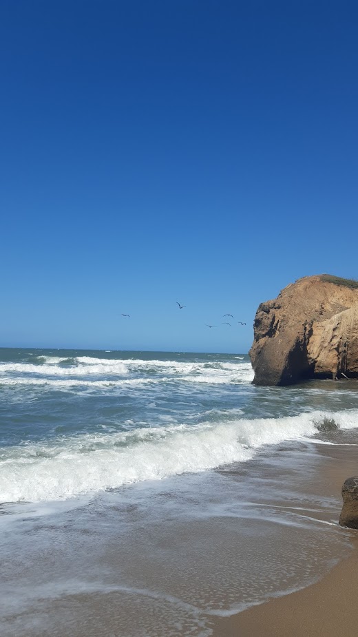 IMG 20200107 WA0039