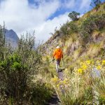 hike in colombia 2023 11 27 04 56 00 utc
