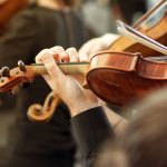 member of classical music orchestra playing violin 2023 11 27 04 58 06 utc