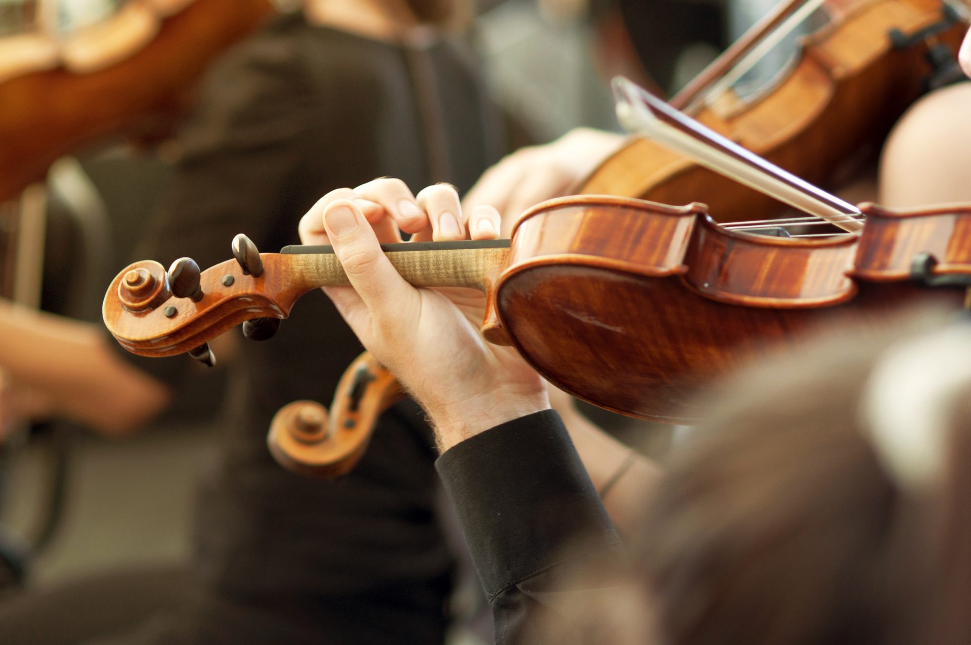 member of classical music orchestra playing violin 2023 11 27 04 58 06 utc