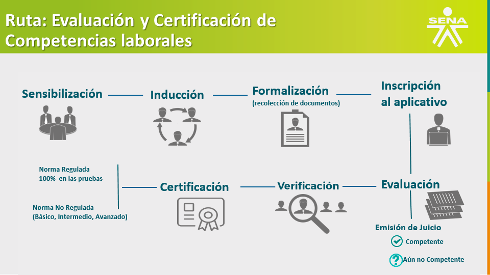 ruta proceso de certificacion