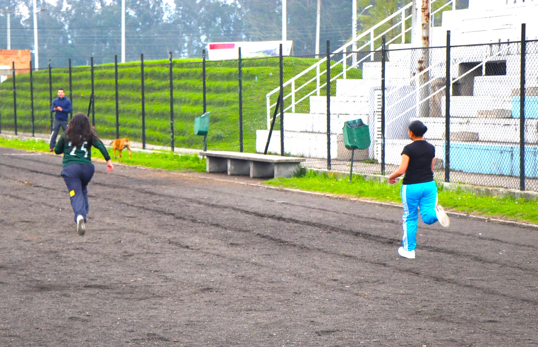 Irregularidades financieras en el Ministerio del Deporte por 31.493 millones