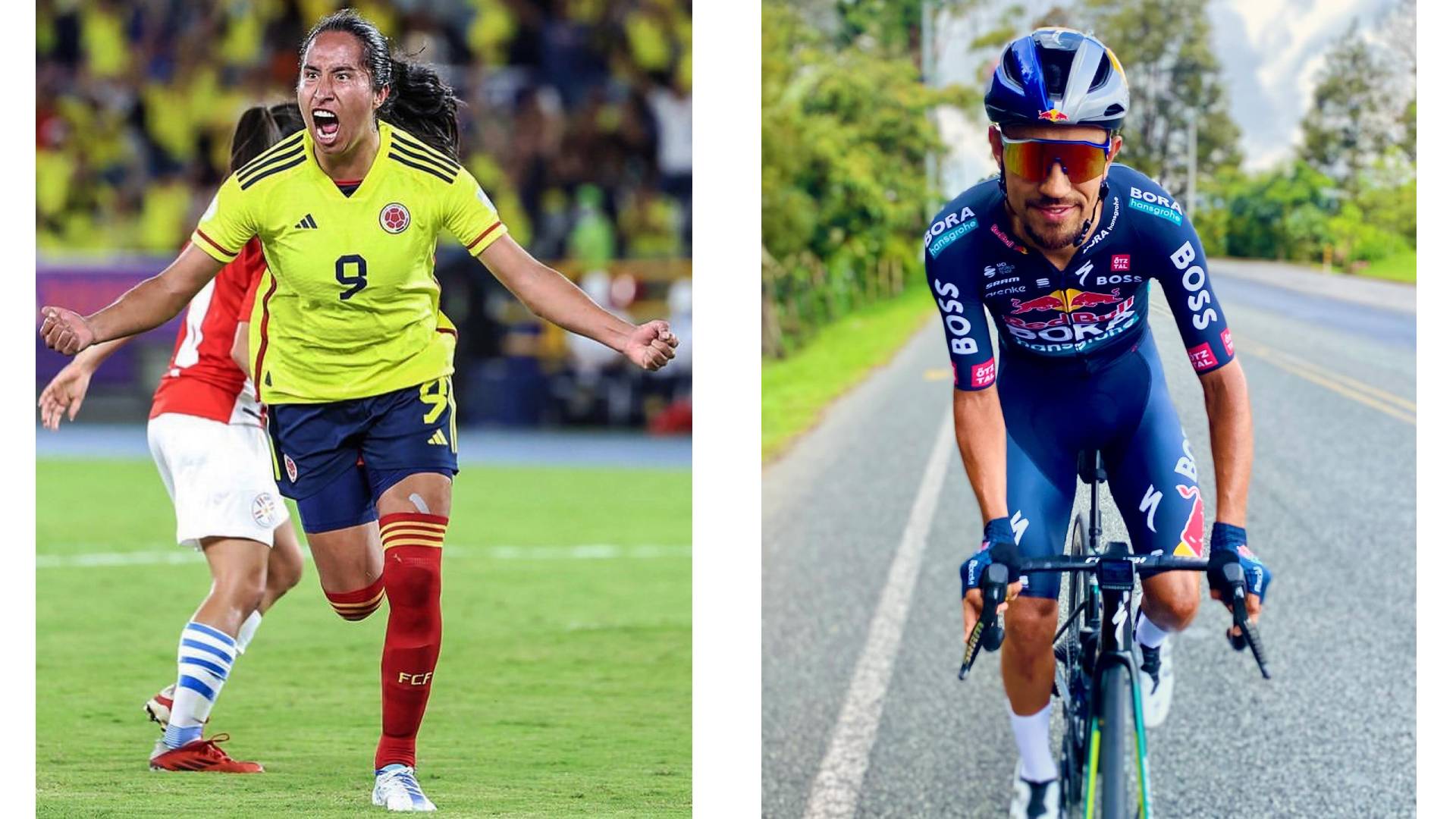 Proyecto nuevo 60