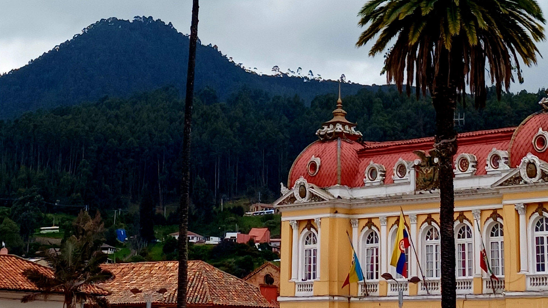 Proyecto nuevo 61