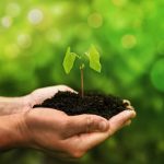 concept of the environment world earth day protec 2023 11 27 05 22 07 utc