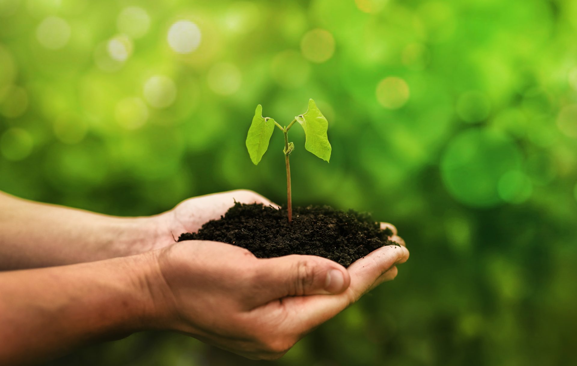 concept of the environment world earth day protec 2023 11 27 05 22 07 utc