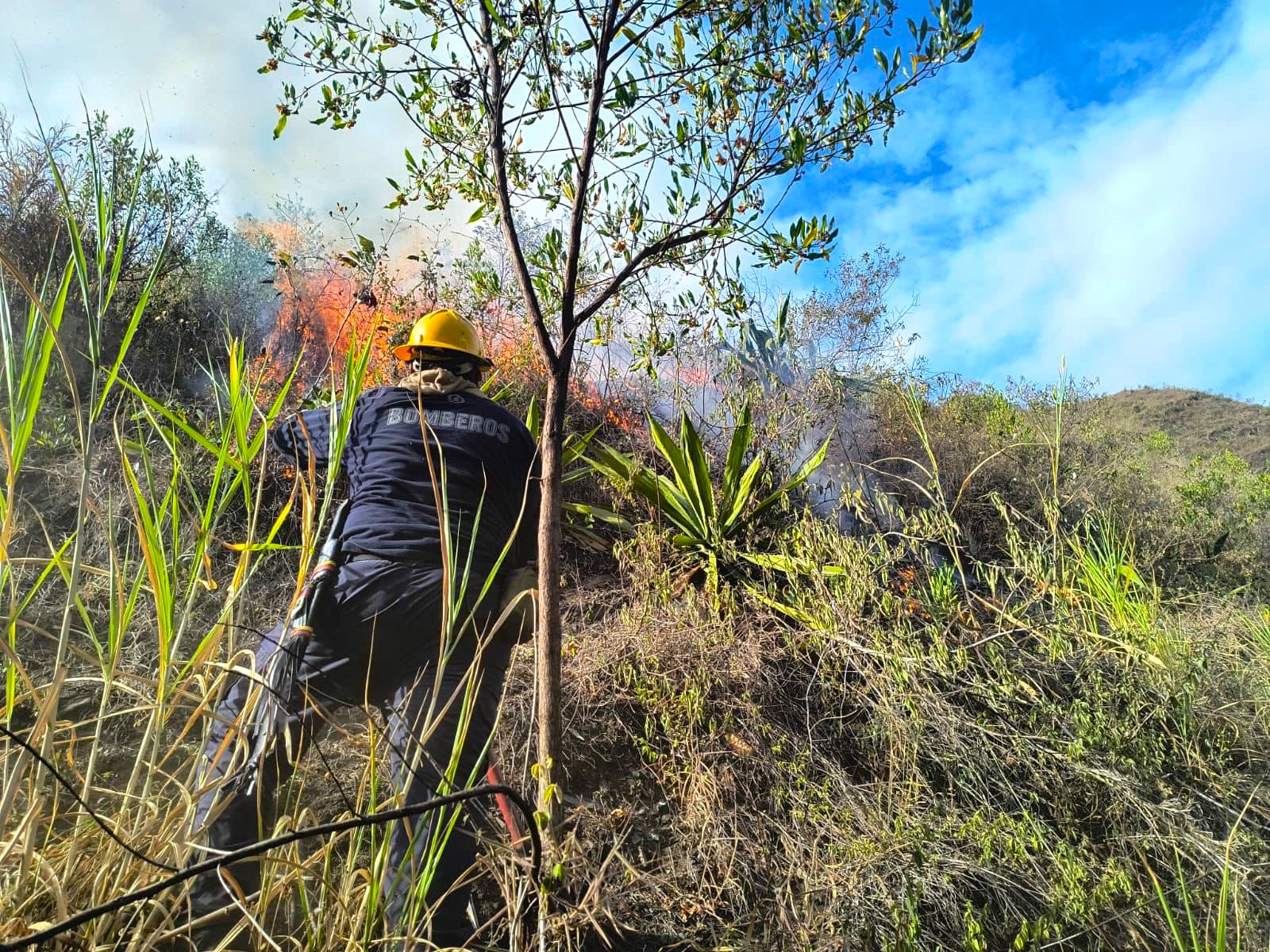 Bomberos y Brigada Forestal continuan combatiendo incendios forestales en Pacho