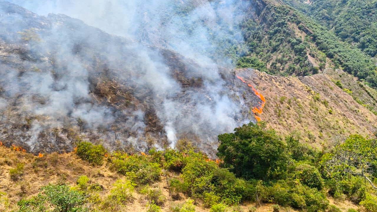 Bomberos y Brigada Forestal continuan combatiendo incendios forestales en Pacho1