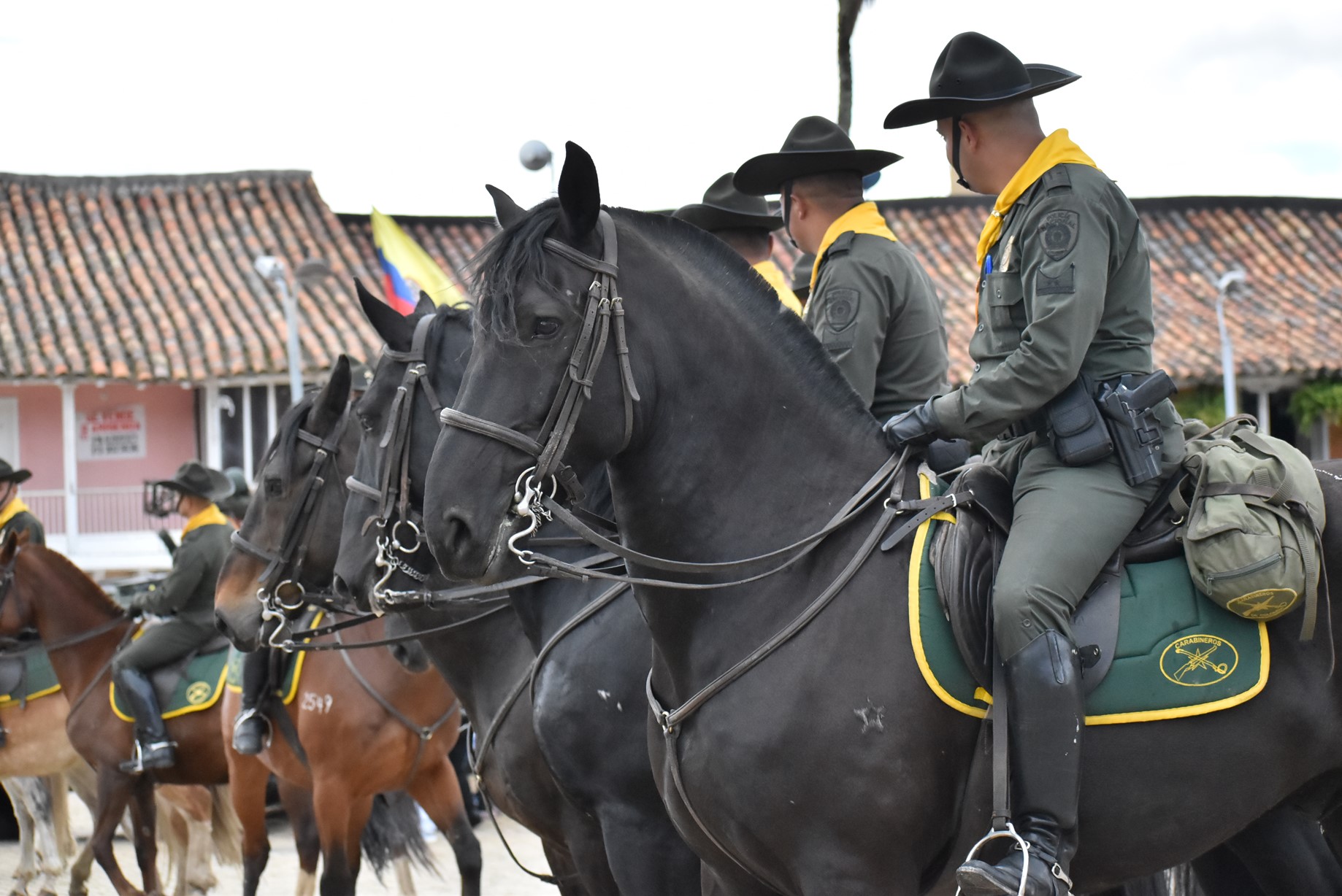 Imagen1caballos