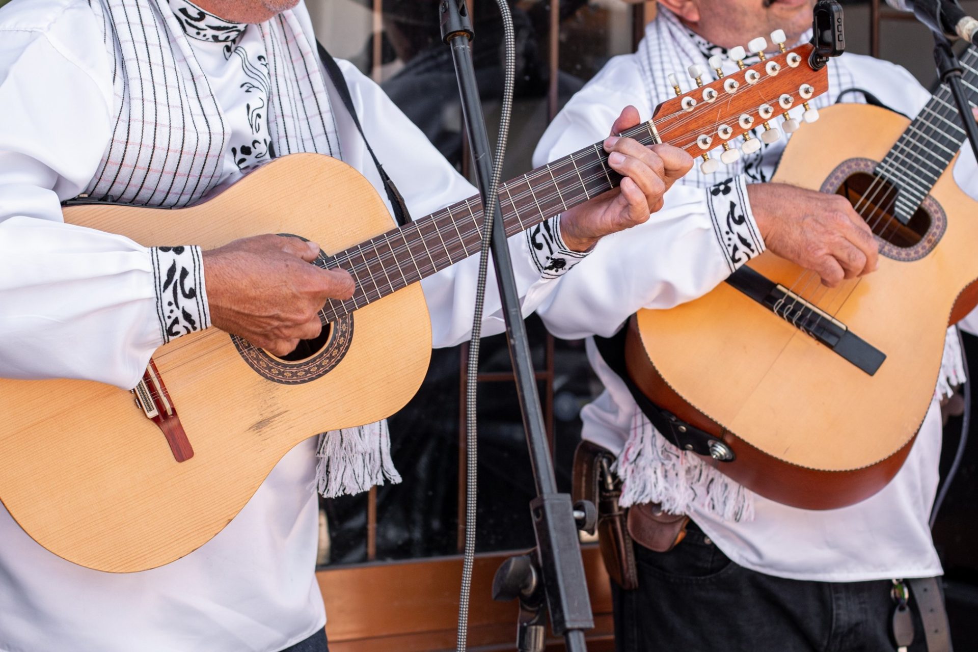 Imagen3musico