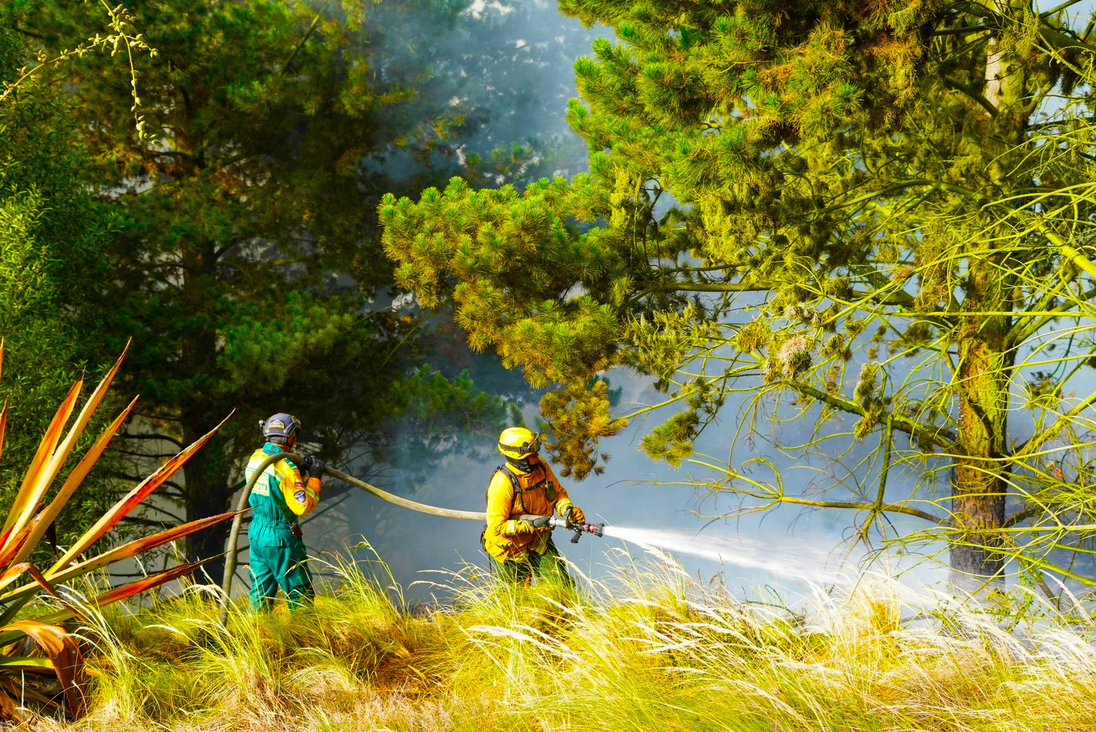 Incendio forestal en Soacha esta controlado al 90 con apoyo aereo y equipos de emergencia1