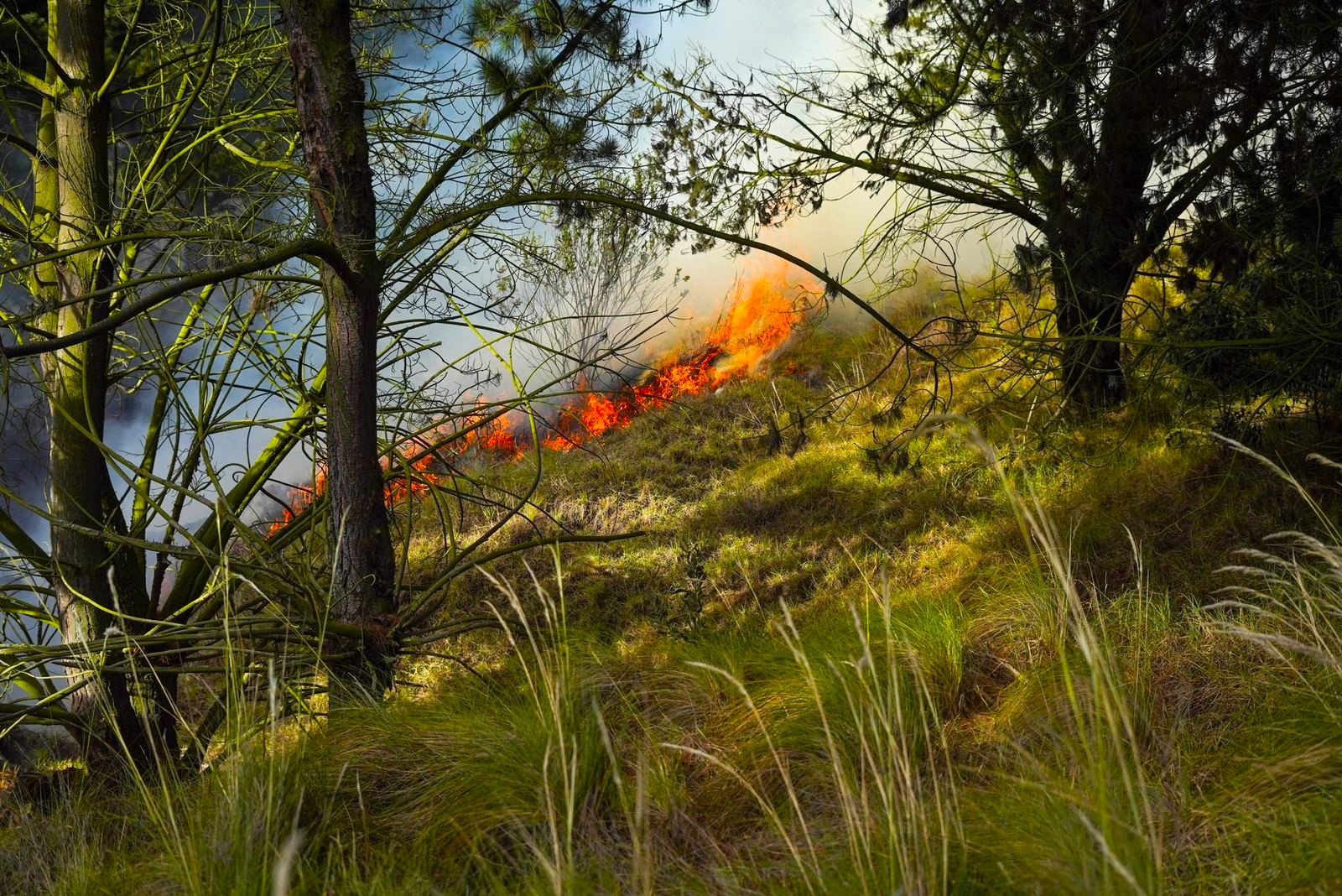 Incendio forestal en Soacha esta controlado al 90 con apoyo aereo y equipos de emergencia2
