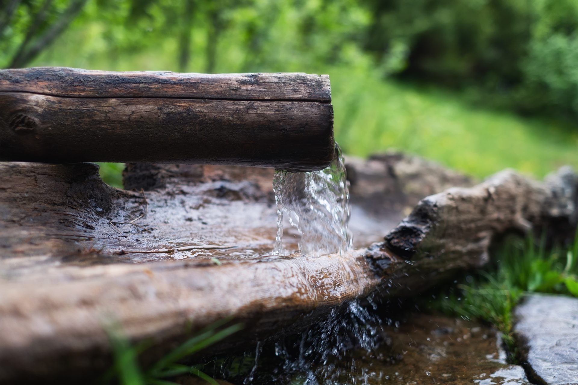 composition with water and wood in the forest wat 2023 11 27 05 10 11 utc