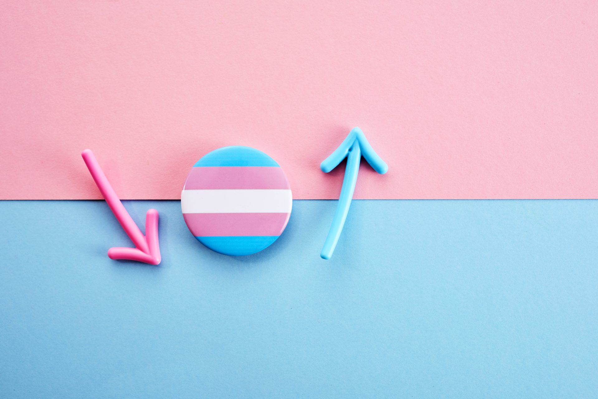 international transgender day of visibility backgr 2023 11 27 04 58 19 utc