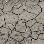 soil erosion 2023 11 27 04 53 18 utc