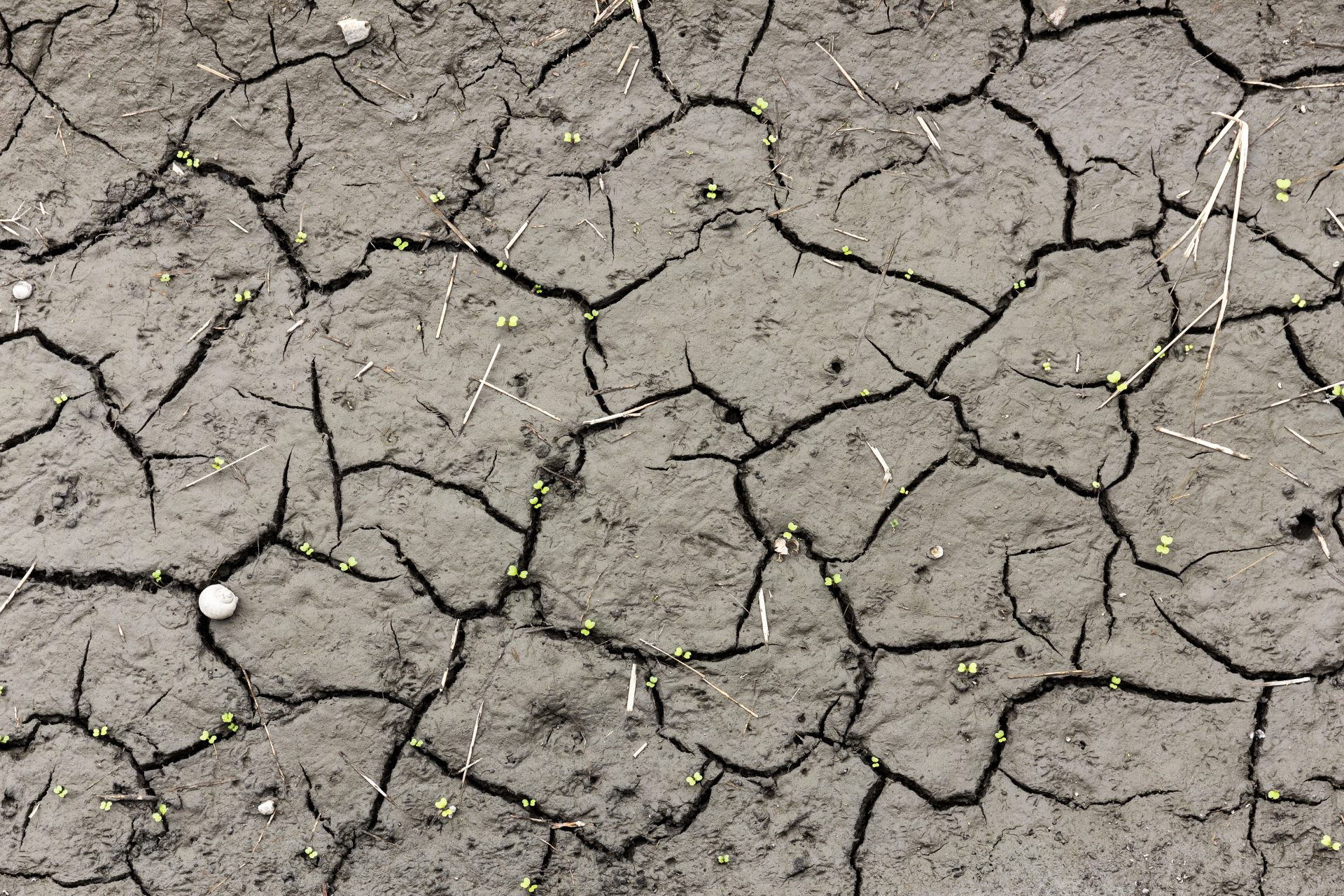 soil erosion 2023 11 27 04 53 18 utc