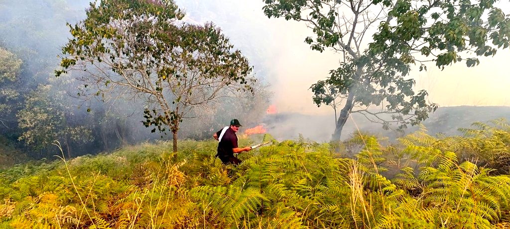 Bomberos en Cundinamarca controlaron seis incendios forestales ayer 17 de septiembre2