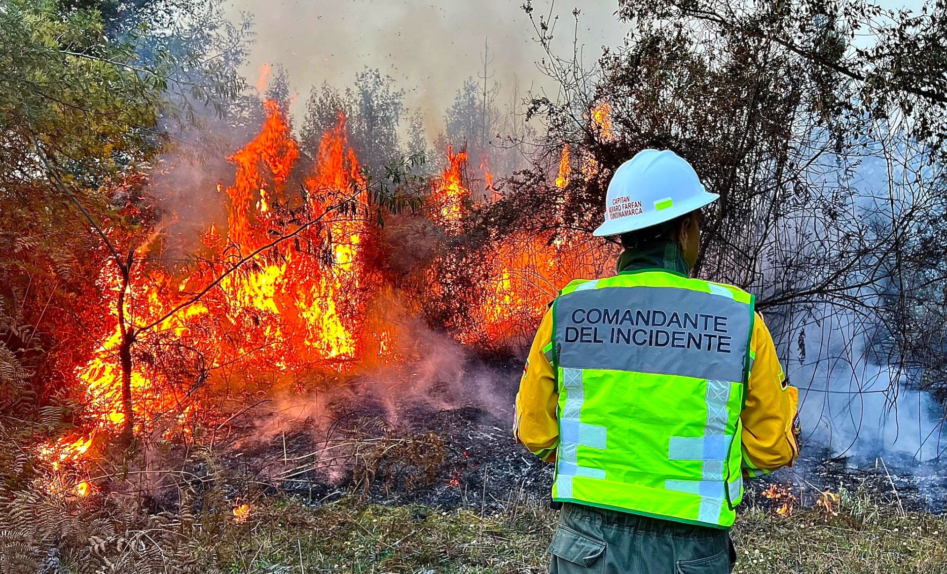 En Cundinamarca mas de 5.000 hectareas afectadas por incendios forestales en 20244