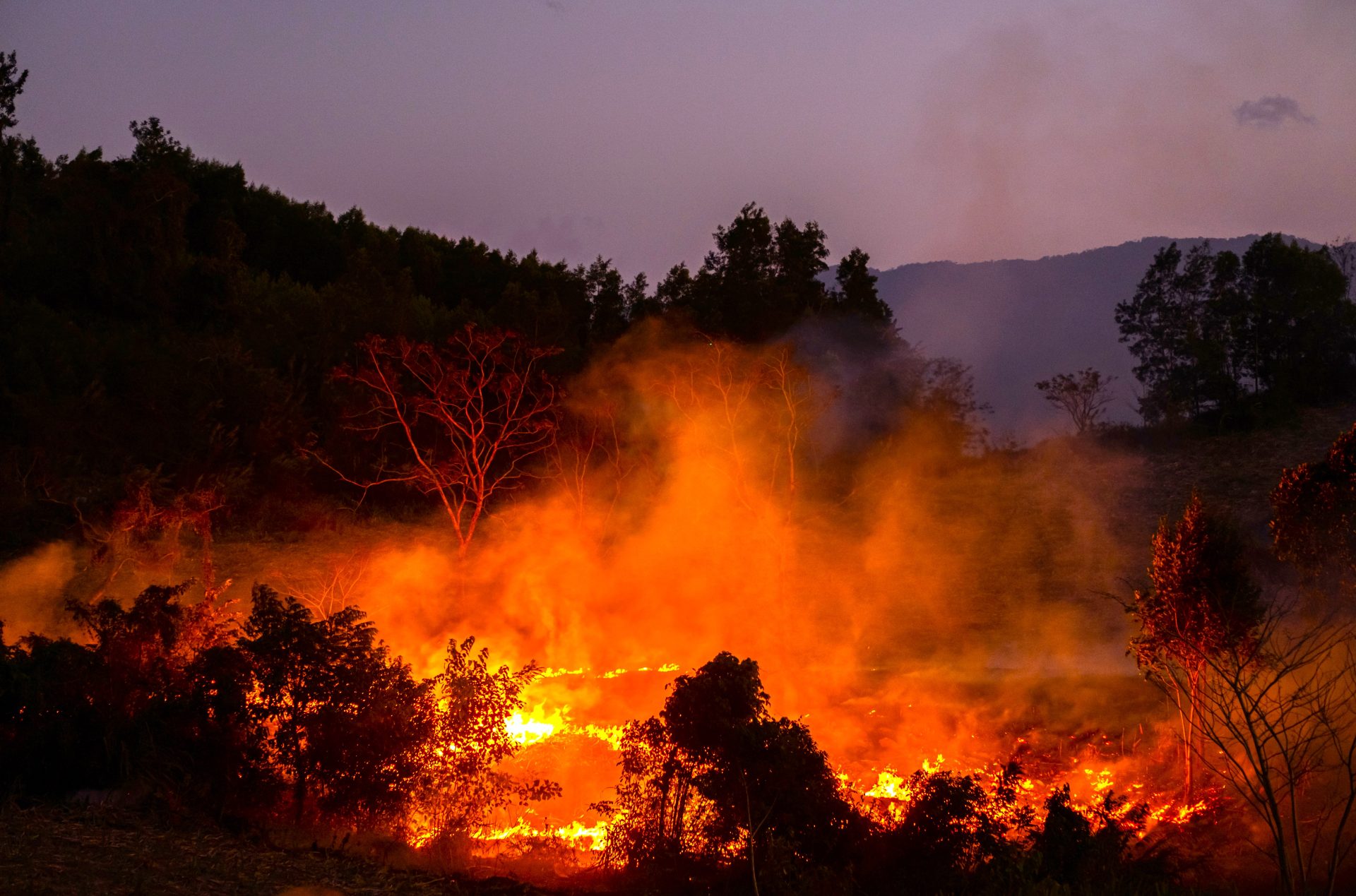 Los bomberos de Colombia estan con el ‘Cristo de espaldas mientras los montes arden como el infierno