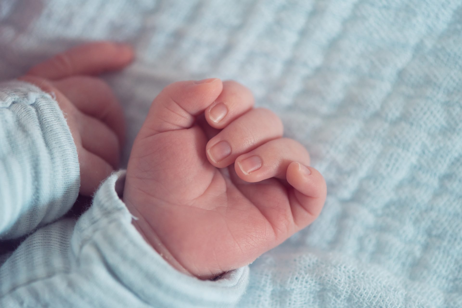 newborn baby hands 2023 11 27 04 53 02 utc