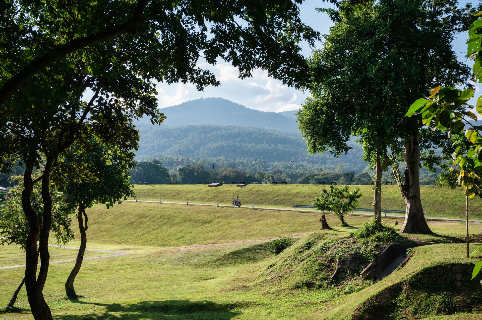view of green park and mountain on sunny day at an 2024 08 20 22 20 47 utc