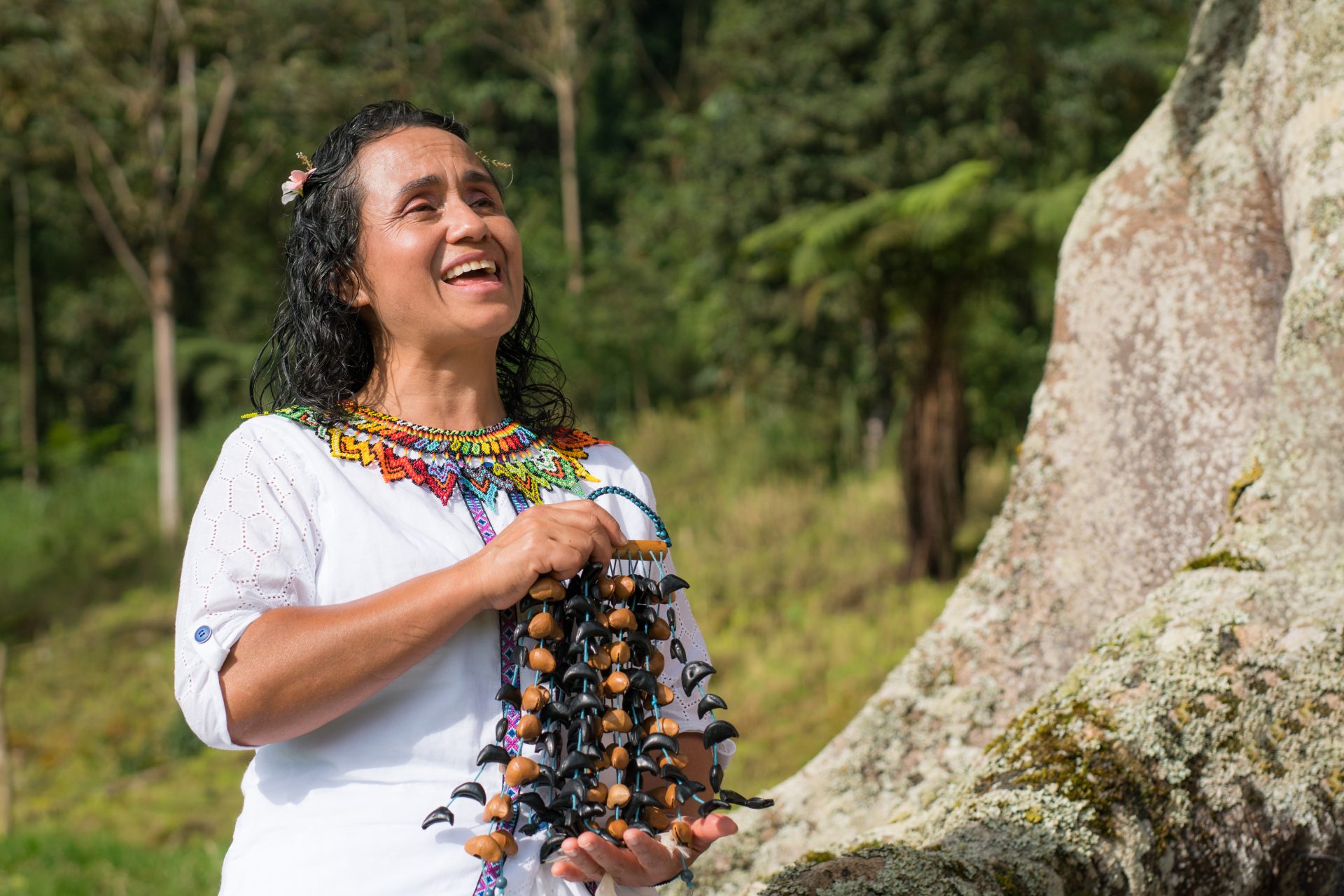 Corte Constitucional protege derechos de la Comunidad Indigena Metiwa Guacamayas en Vichada1