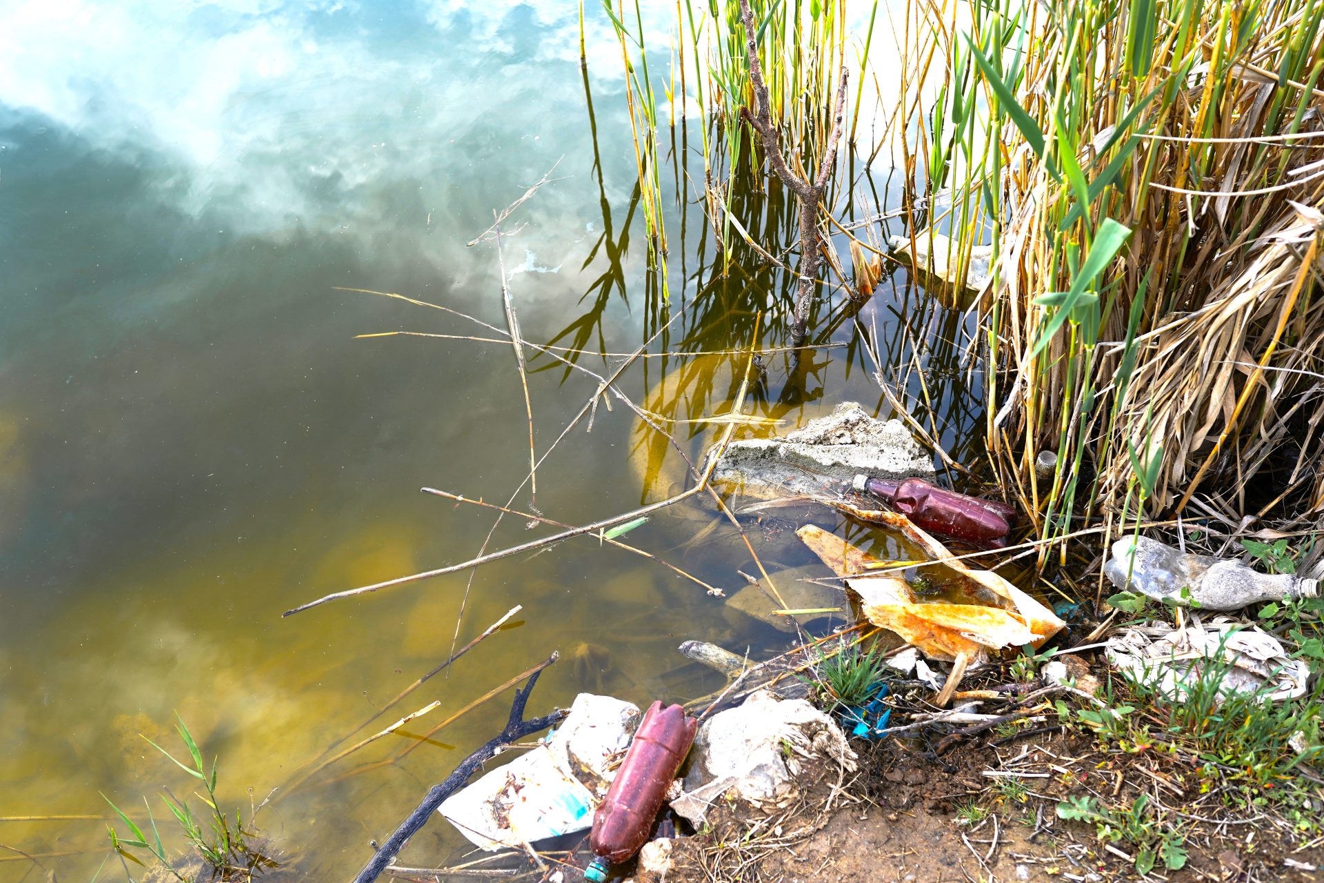 Crece la preocupacion por quejas ambientales en la region Sabana Centro1