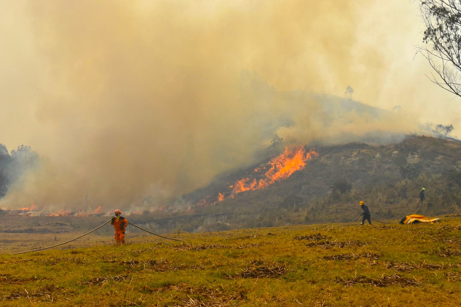 Devastador Incendios forestales en Cundinamarca dejaron mas de 6.453 hectareas afectadas1