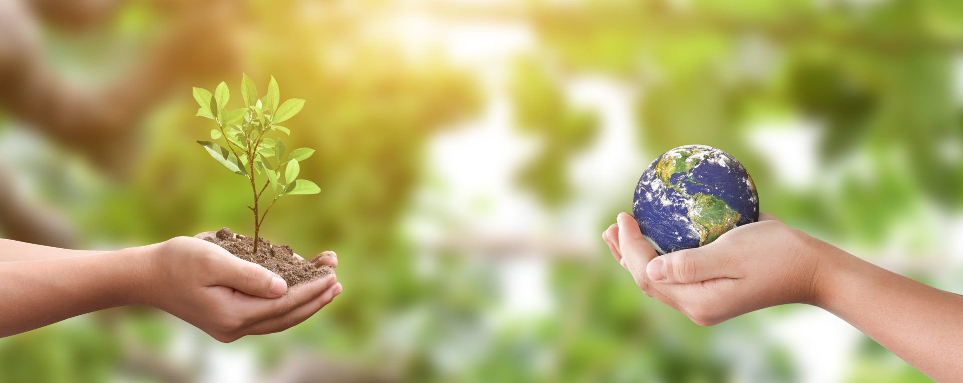 Empresas Publicas de Zipaquira EPZ fomenta la sostenibilidad ambiental en la Feria LEO