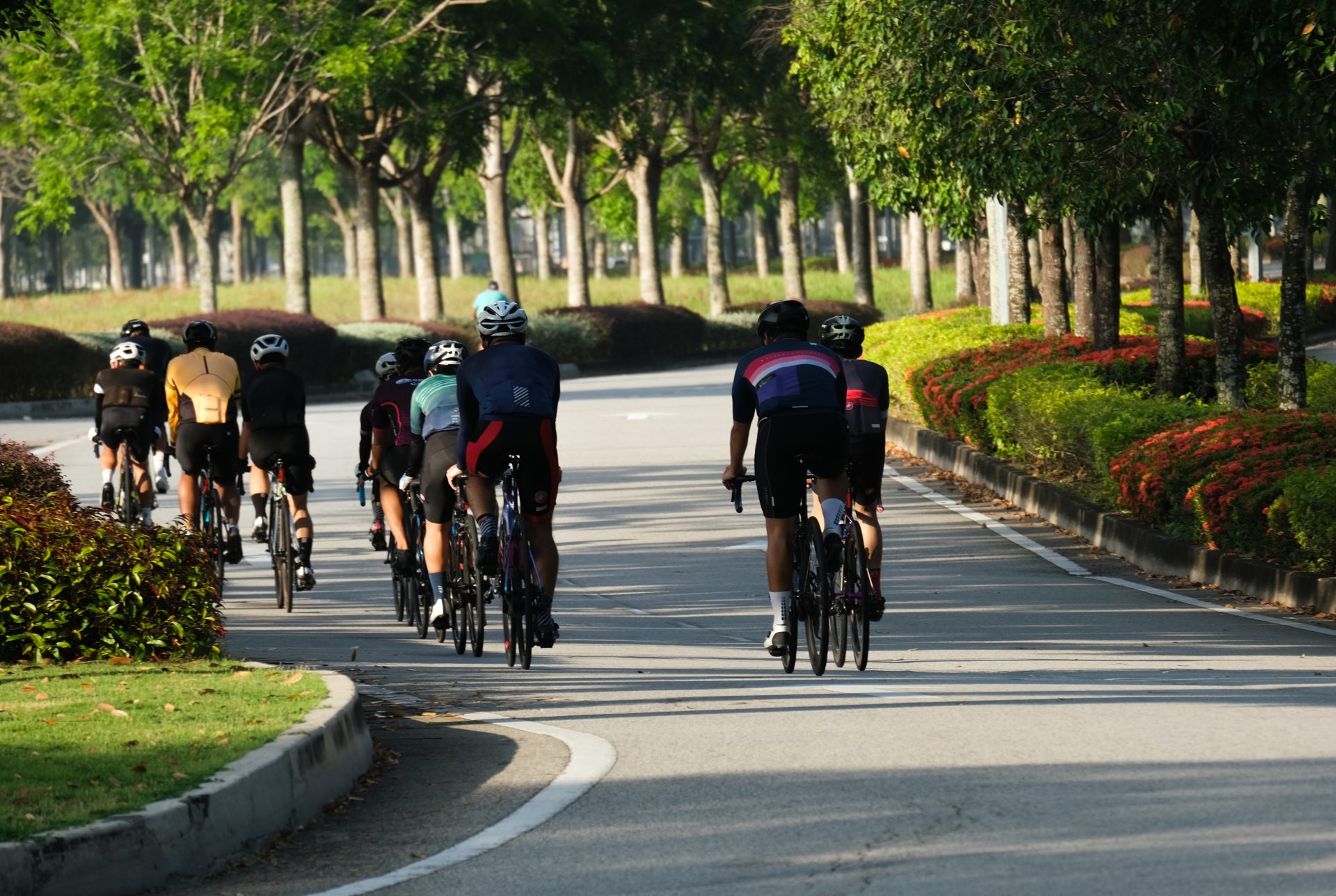 a group of cyclist cycling in town 2023 11 27 04 59 21 utc