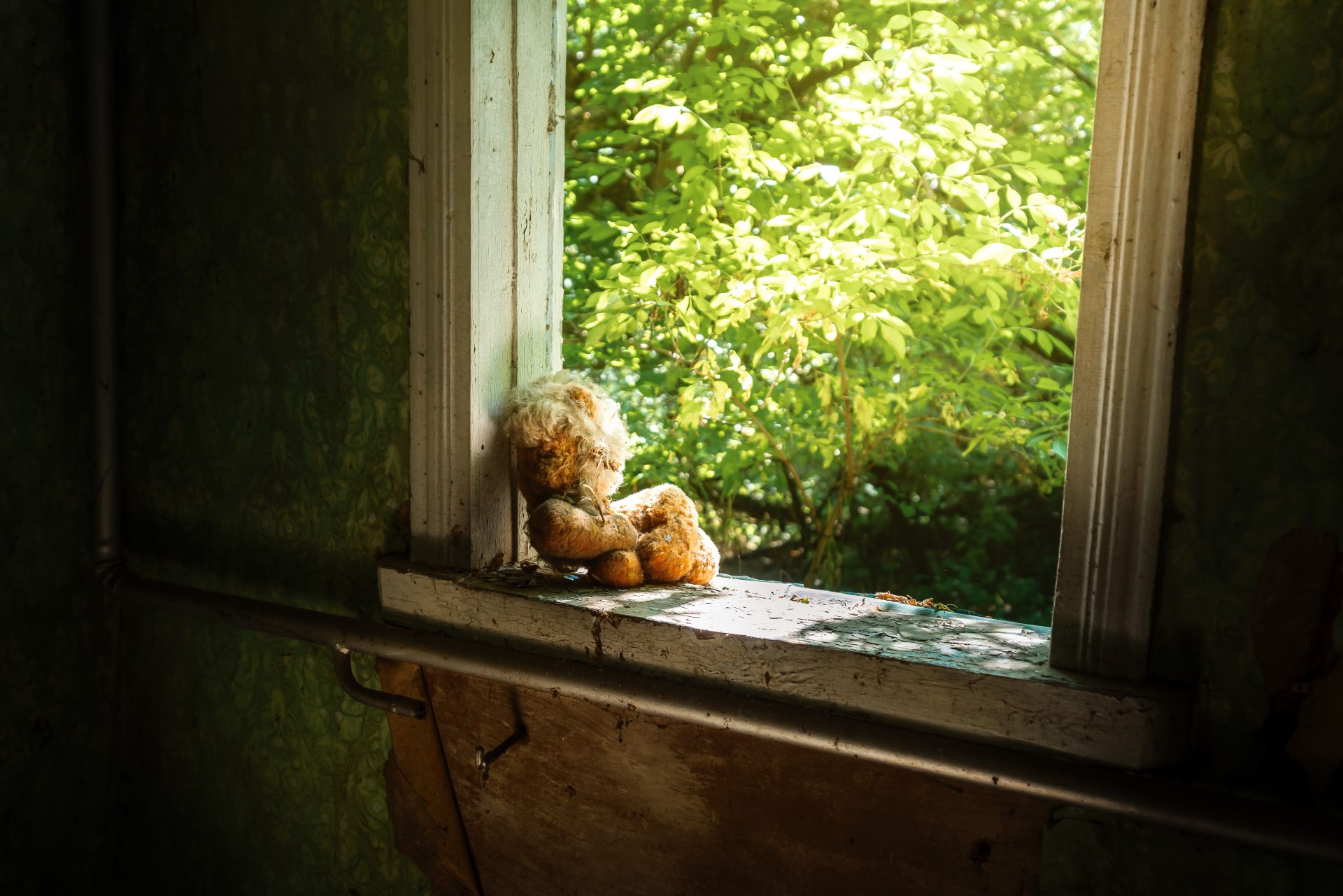 abandoned stuffed toy zalissya village chernoby 2023 11 27 05 24 33 utc