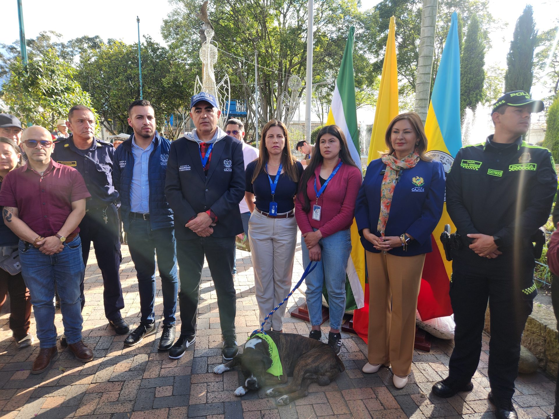 Alcaldia de Cajica rechaza maltrato animal y rescata a Jack un boxer golpeado