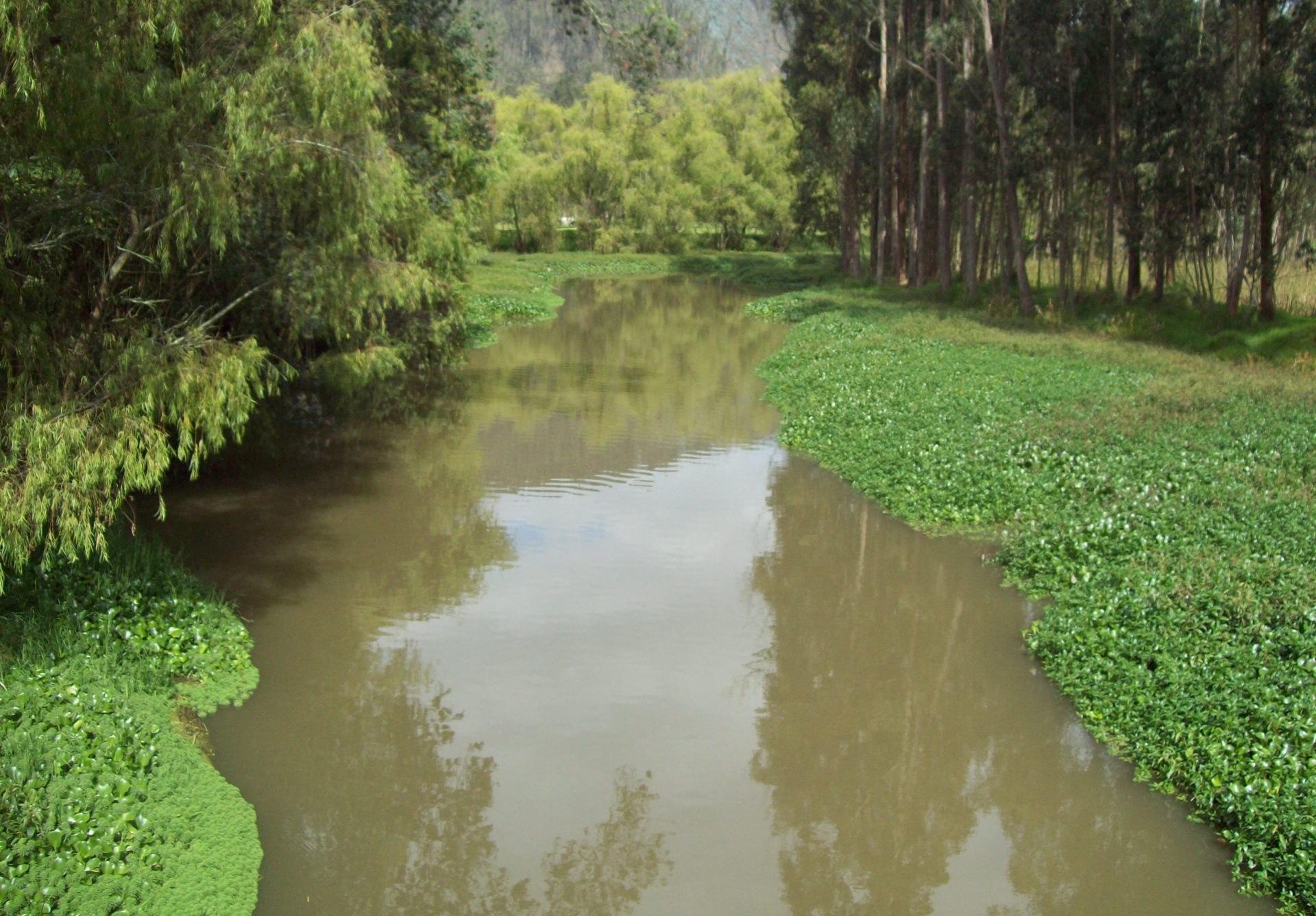 Municipios de Cundinamarca invierten cada vez menos en proteccion del agua y medio ambiente2