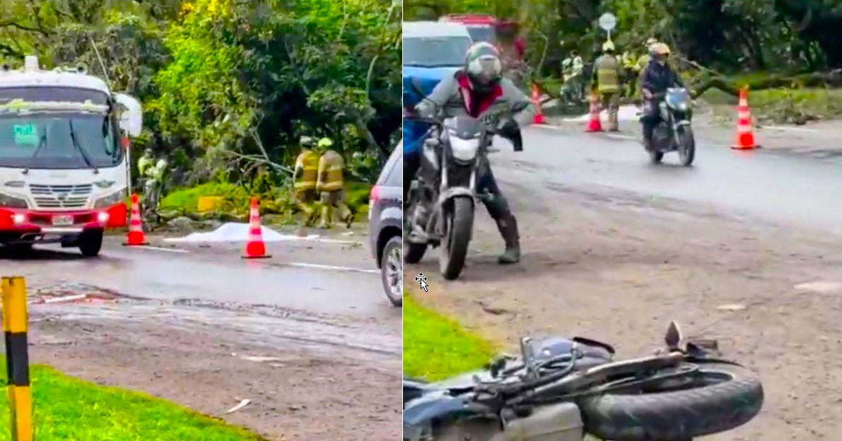 Tragedia en la Autopista Norte caida de arbol deja una joven fallecida y 12 heridos1