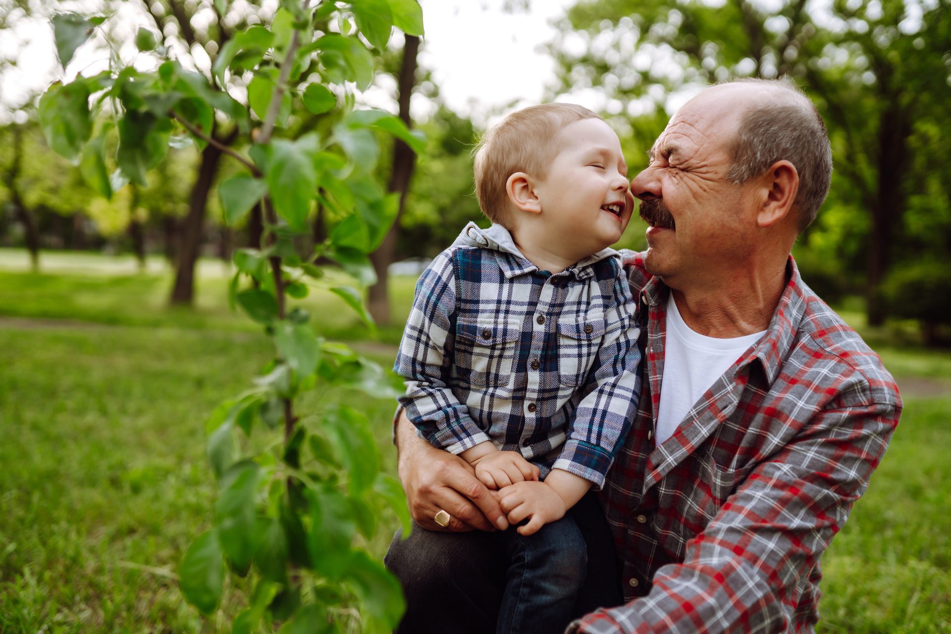 planting family tree little boy helping his grand 2023 11 27 04 49 38 utc